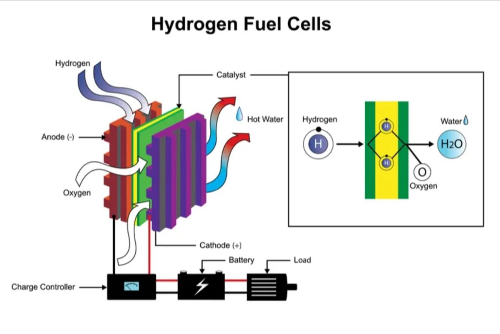 Hydrogen Fuel Cells