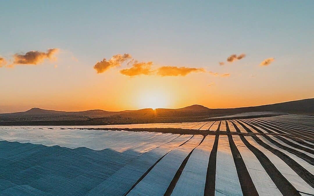 No one understands Solar Energy so, Here is a breakdown.