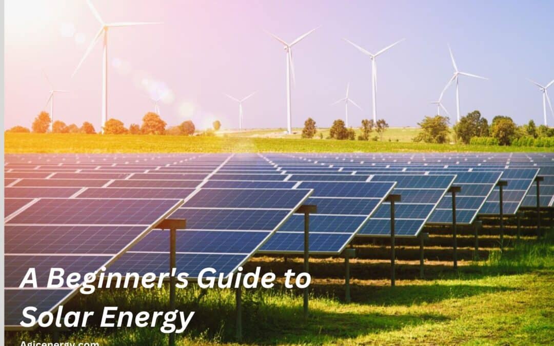 A Beginner’s Guide to Solar Energy (Everything You Need to Know)